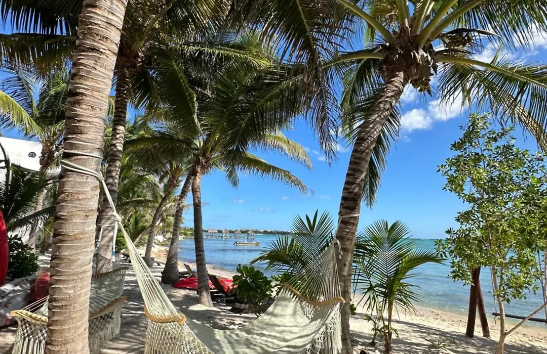 Alea Tulum-1